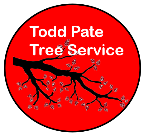 todd pate tree service